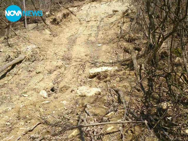 Стоп на изсичането на гората в с. Орешак