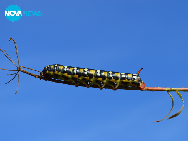 Към пролетта