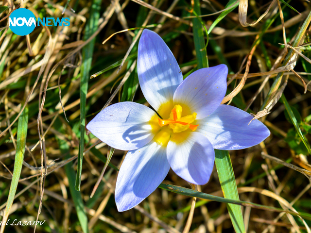 Снимка за прогнозата