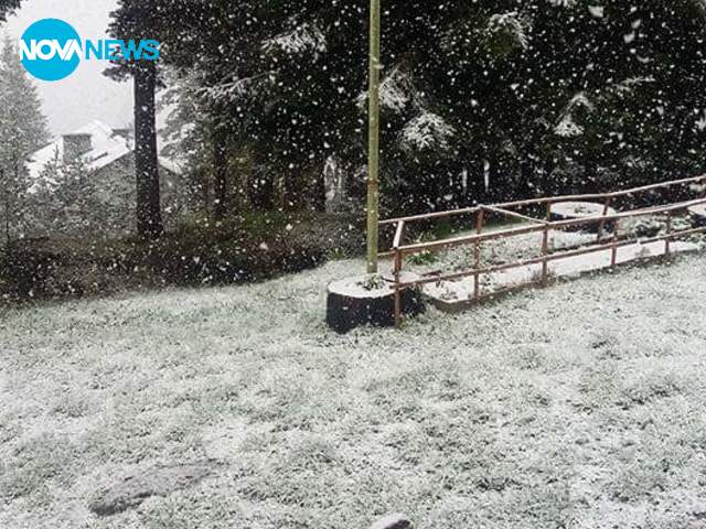 Майски сняг