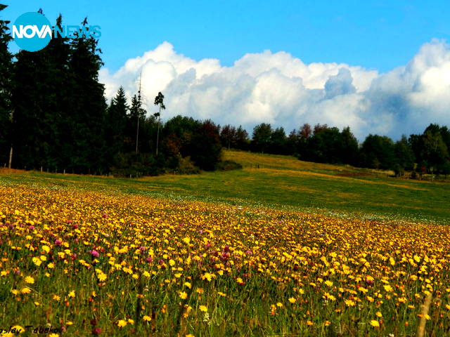 Свежестта на полето