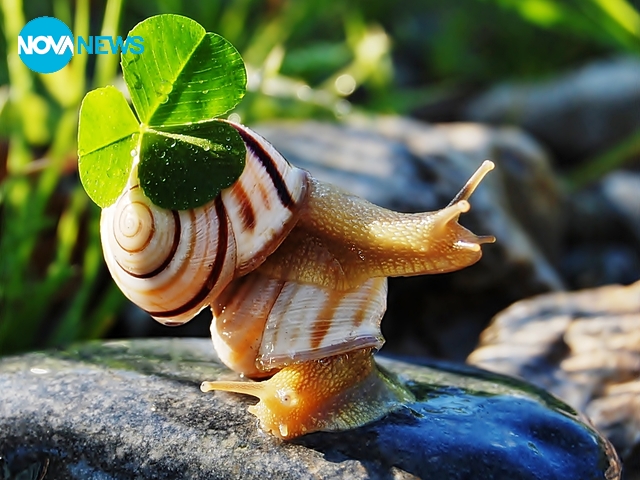 За настроение!