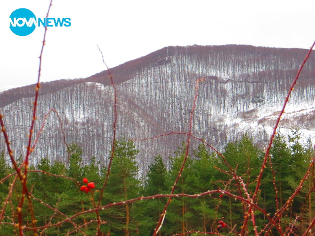 Красотата на Врачанският Балкан