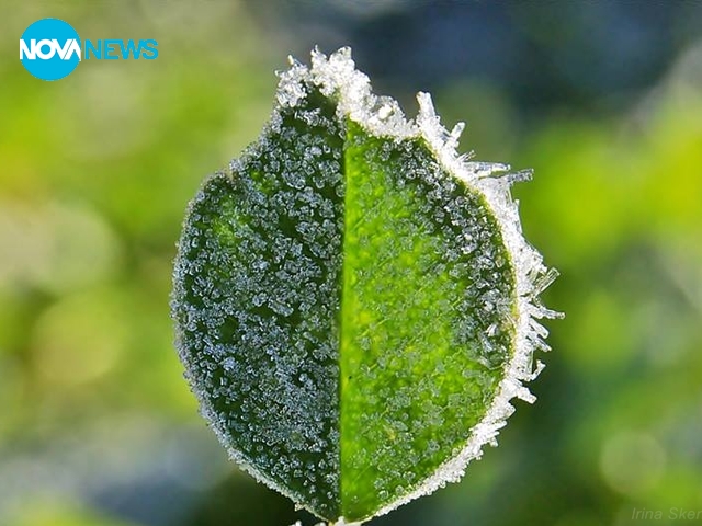 прогноза за времето - 5