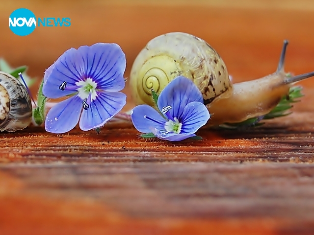 Прогноза за времето - 3