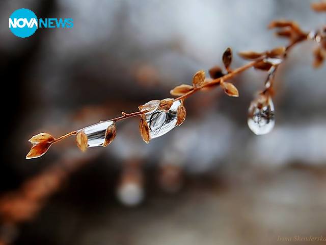 Любов между капчиците