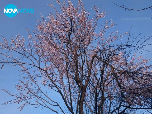 Подранила пролет в Шумен