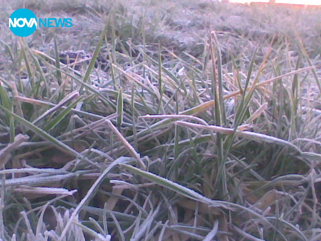 Нещо хубаво в лошото време