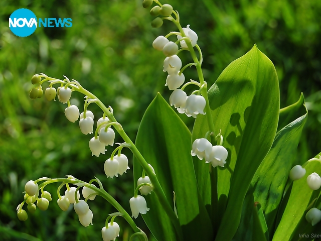 За прогнозата за времето