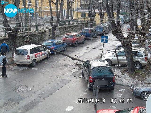 Още щети от паднали клони