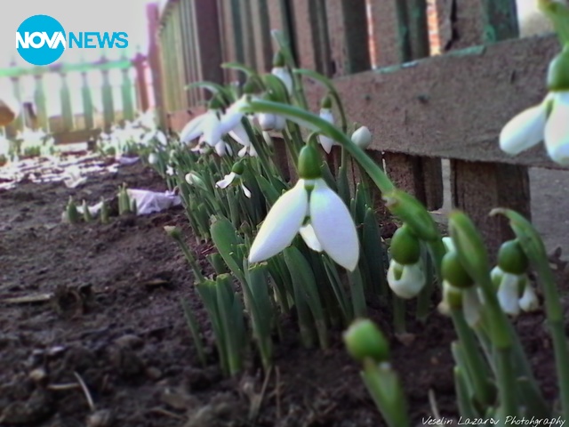 С пролетно настроение