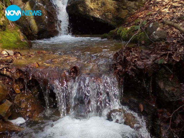 Нашата прекрасна природа