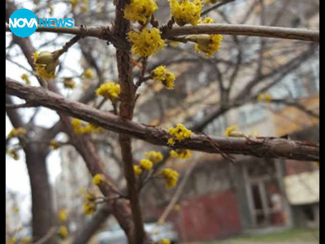 Красива природа