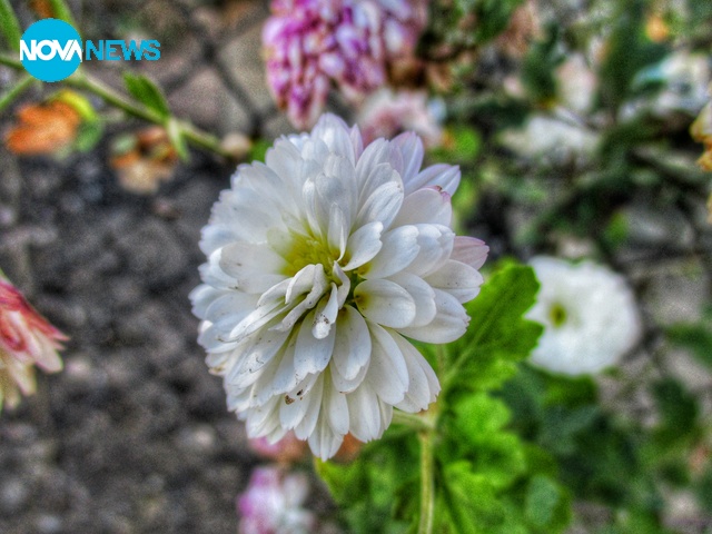 Снимка за прогноза на времето-2