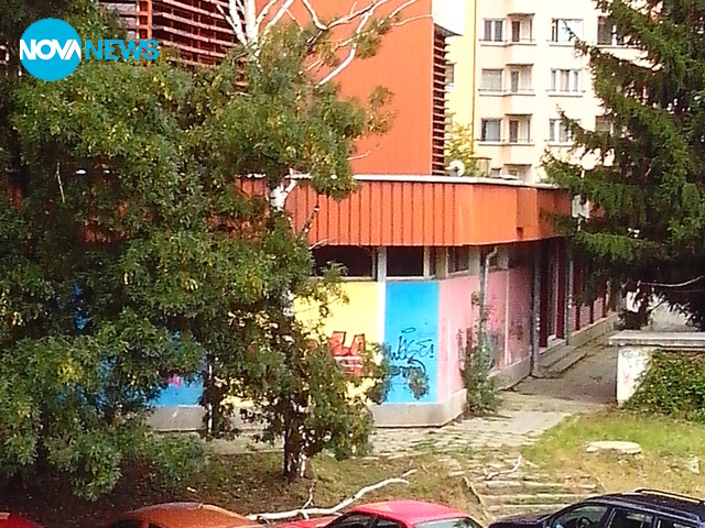 Опасно изсъхнало дърво
