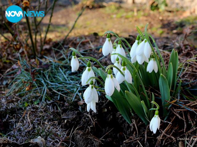 Идва пролет!