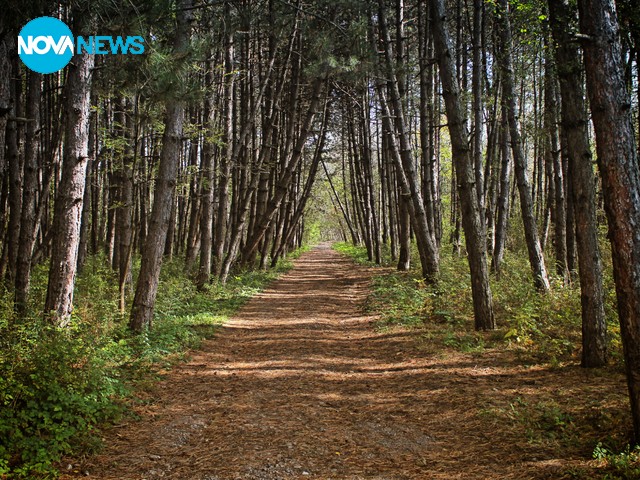 Есенна снимка