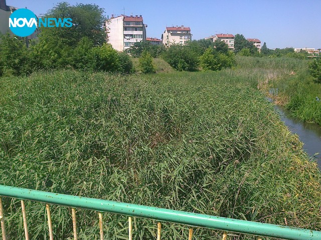 Река Тунджа, Ямбол