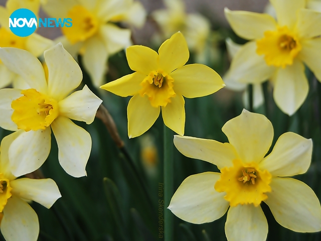 Бъди различен