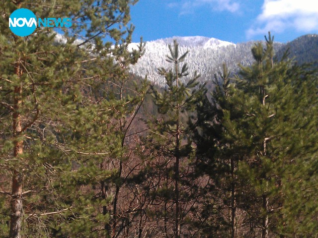 Сняг на Пирин