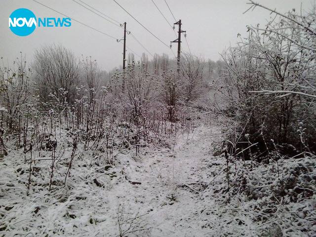 Снежна сутрин в Монтана