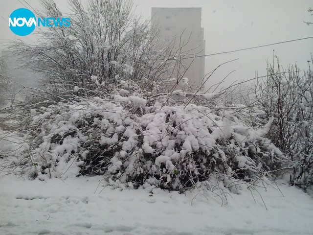 Сняг в Монтана