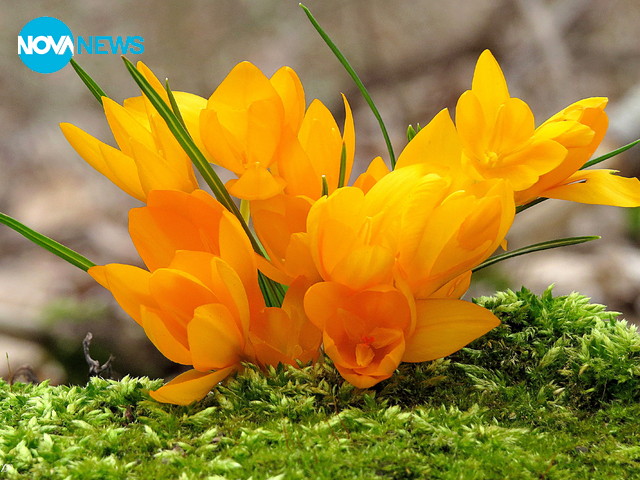 Пролетно ухание!