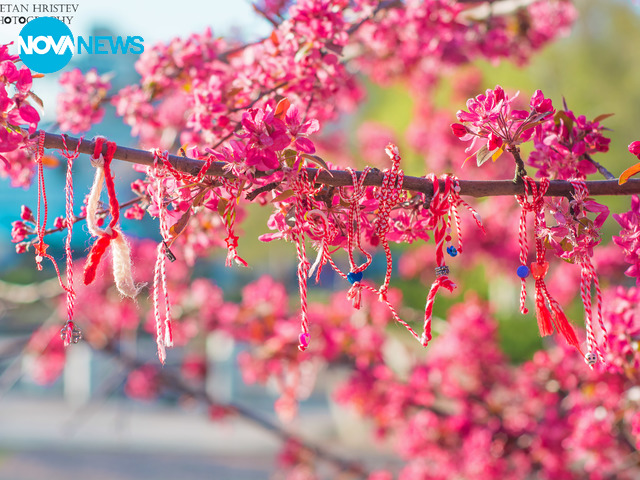 Пролетна снимка