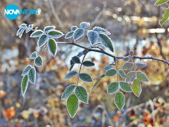 Заскрежено утро