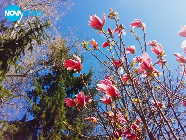 Снимка за "Прогноза за времето"