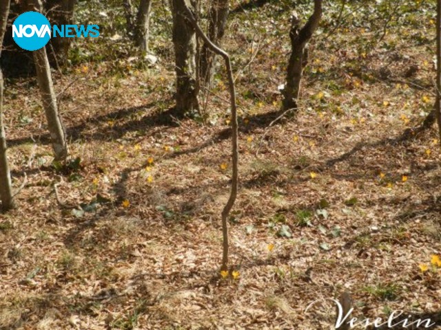 Запролетяване