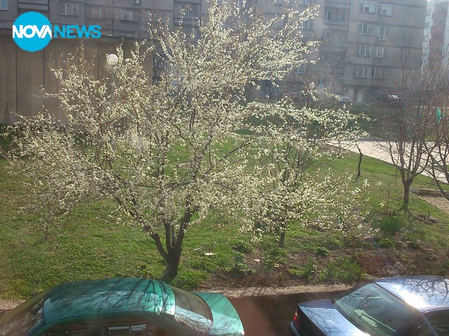 Пролетта идва и в град Чирпан