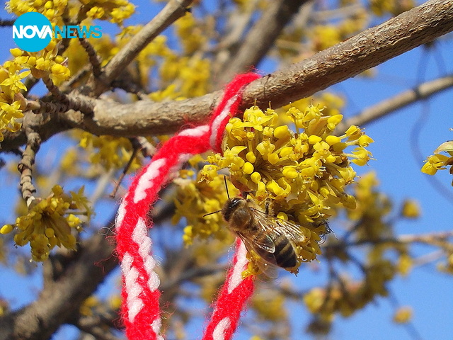 МАРТенско настроение