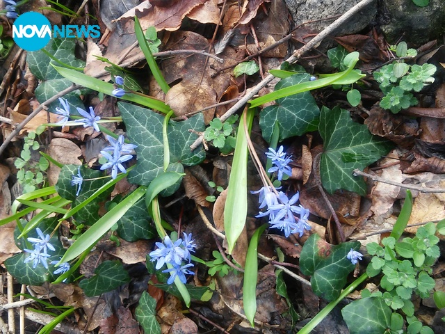 Пролетта е близо