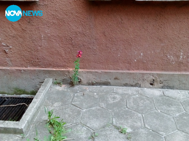 Всеки търси своето място под слънцето