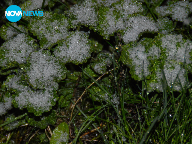 Заваля сняг!