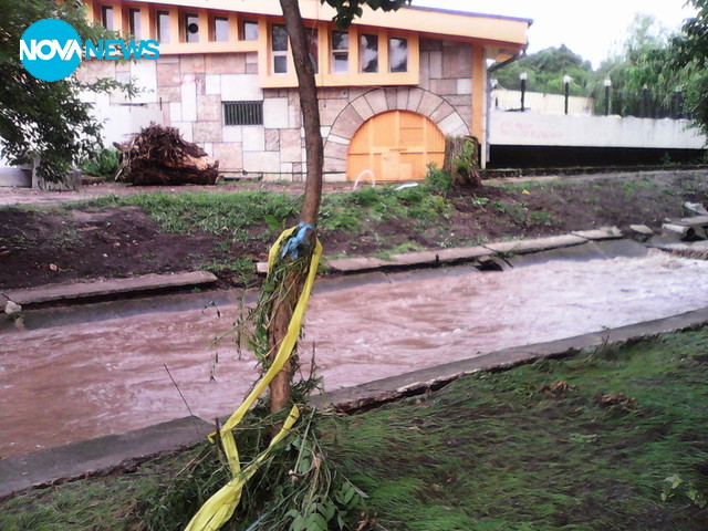След потопа в Добрич