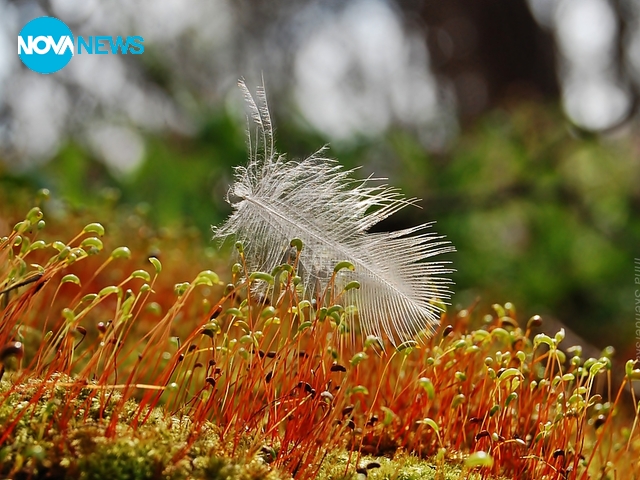Най-нежното априлско утро