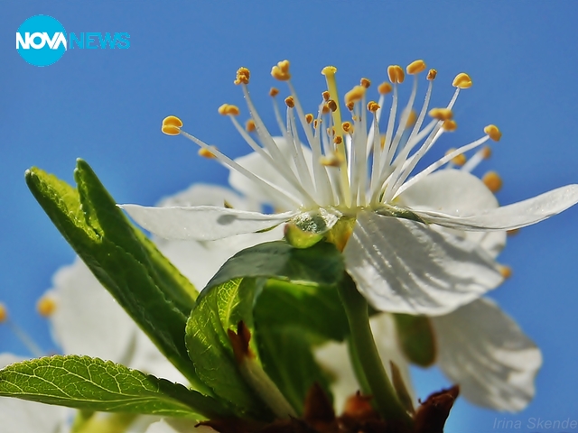 За прогнозата на времето