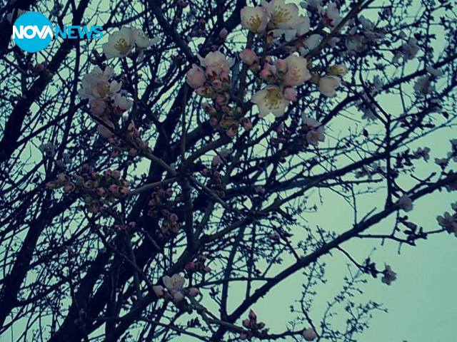 Пролетта дойде