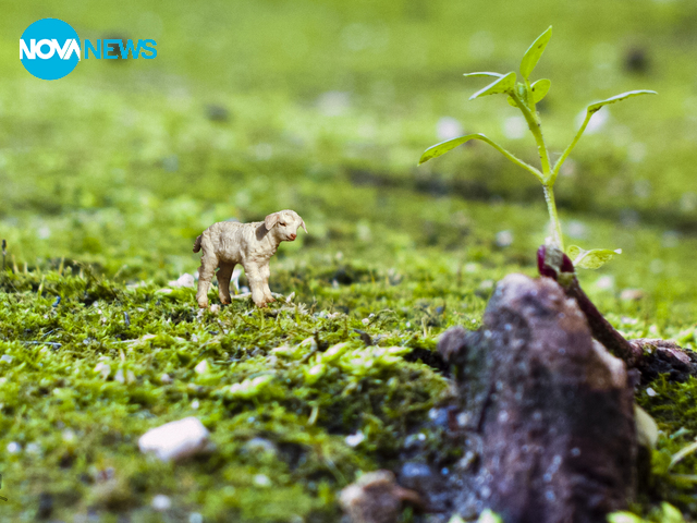 Гергьовден