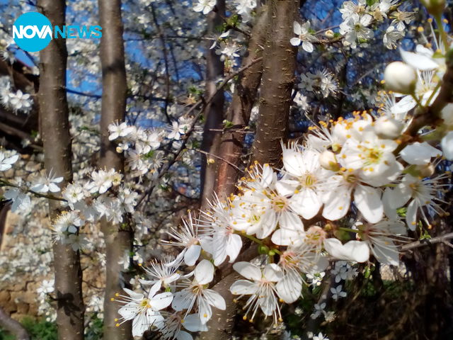 Красива пролет ...