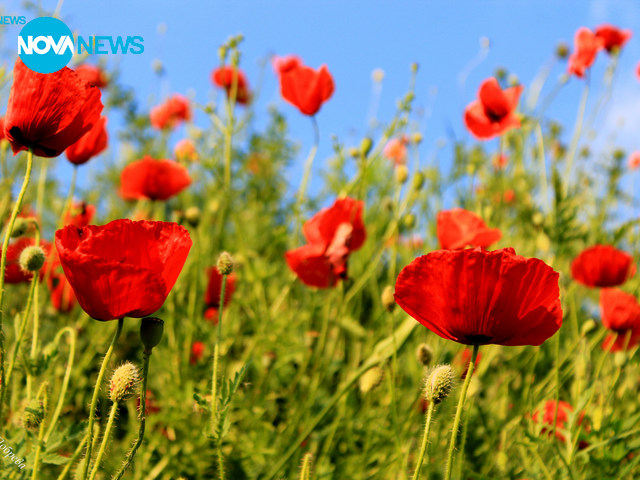За прогнозата на времето