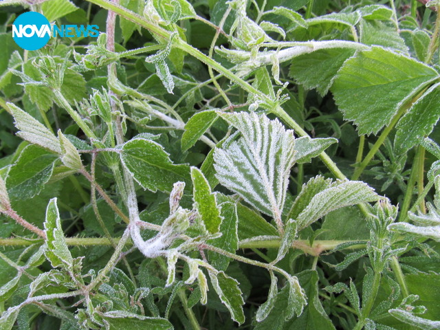 Сланата в Плевенско!