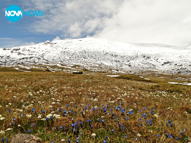 Поздрави от Родопите
