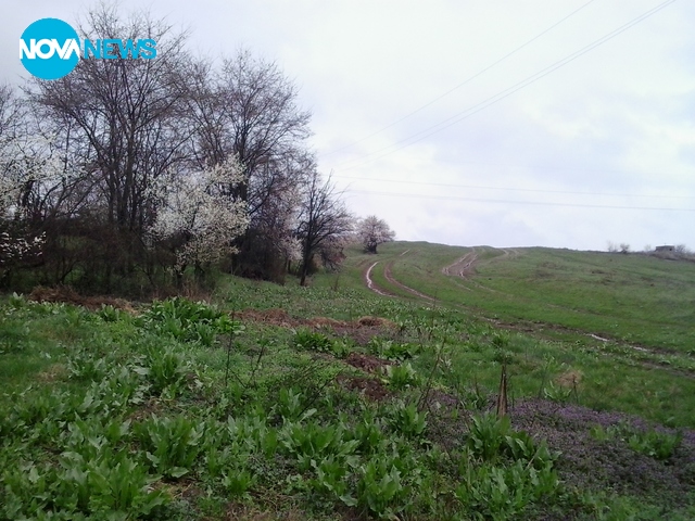 Пролет ли е, есен ли е?