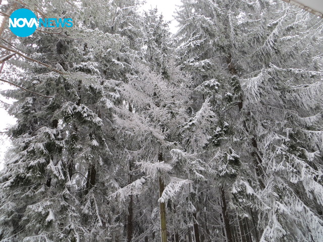 Зимна приказка!