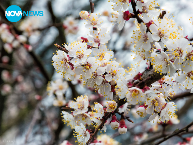 Пролетни усмивки