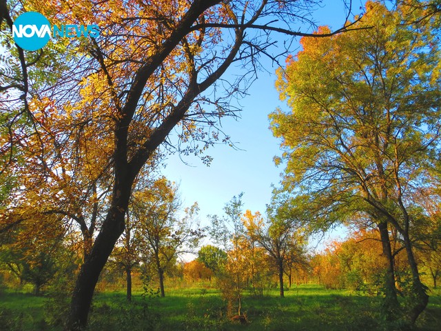 Приказка една разказва есента!