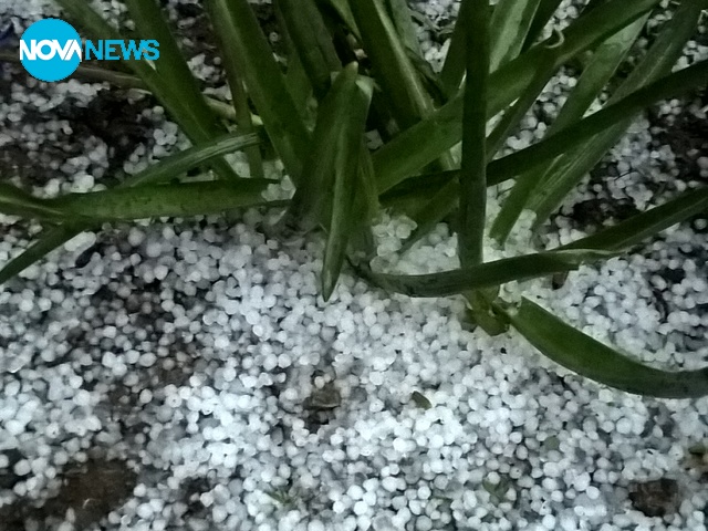 Градушка с. Григорево